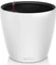 Lechuza Classico Color LS 21 Vorschaubild