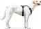 Hunter Geschirr Maldon Up, XS, grau/schwarz Vorschaubild