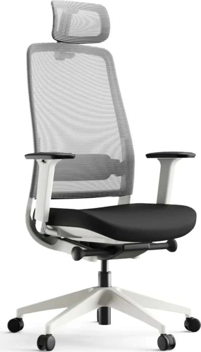 Yaasa Chair Expert Bürostuhl
