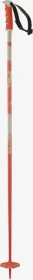 Salomon Steep Alpin Skistock nasturtium/rainy day (Modell 2025/2026)