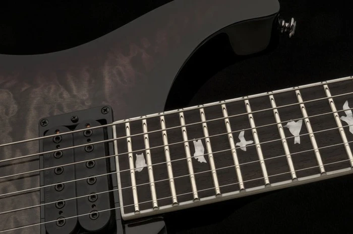 PRS SE Mark Holcomb (ältere Modelle)