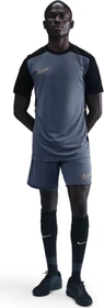Nike Dri-FIT Academy Funktionsshirt kurzarm diffused blue/black/university gold (Herren)