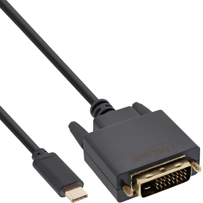 InLine USB-C mit DisplayPort/DVI Adapterkabel, 2m
