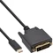 InLine USB-C mit DisplayPort/DVI Adapterkabel, 2m Vorschaubild