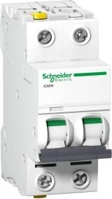 Schneider Electric Leitungsschutzschalter iC60N 2P 50A D