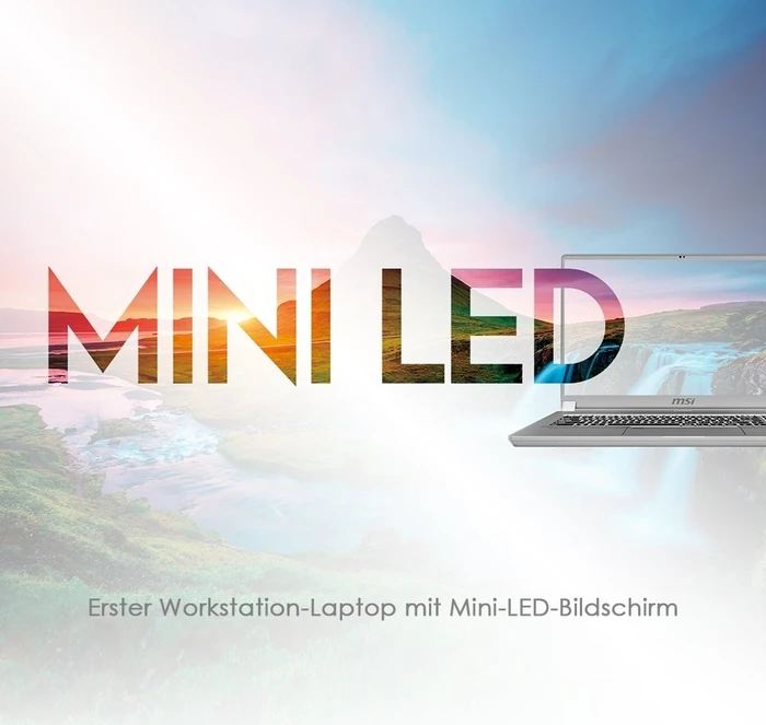 MSI WS75 10TM-498 Mobile Workstation WS75 10TM-498, Space Grey, Core i9-10980HK, 32GB RAM, 1TB SSD, Quadro RTX 5000 Max-Q, DE