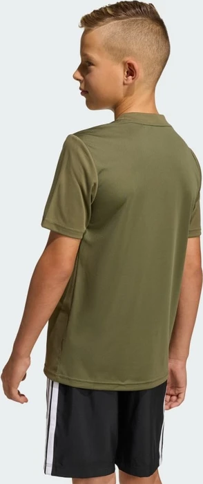 adidas Train Essentials Logo Regular Fit Funktionsshirt kurzarm olive strata/black (Junior)
