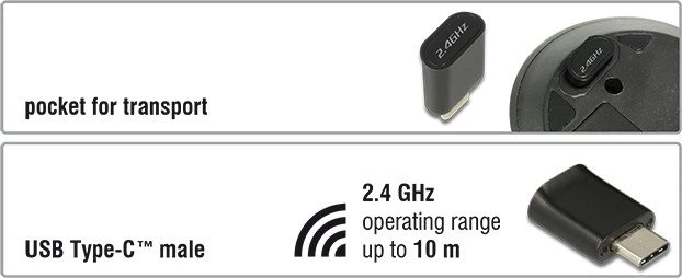 DeLOCK Wireless USB-C Mini Maus schwarz, USB-C
