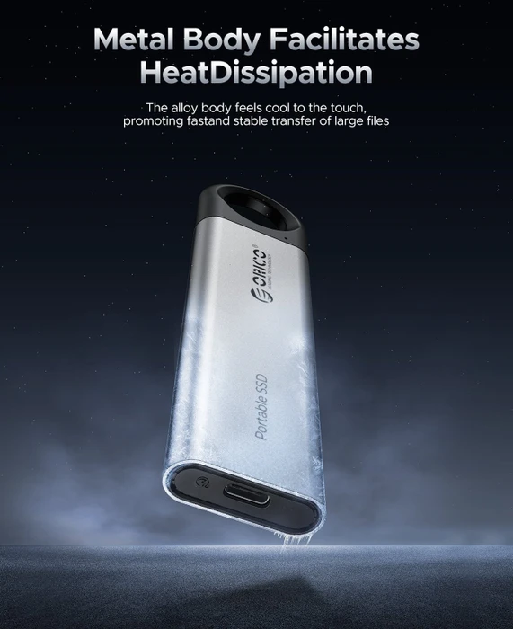 Orico C10, 256GB, USB-C 3.1