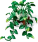 LEGO Botanicals - Hängende Efeutute Vorschaubild