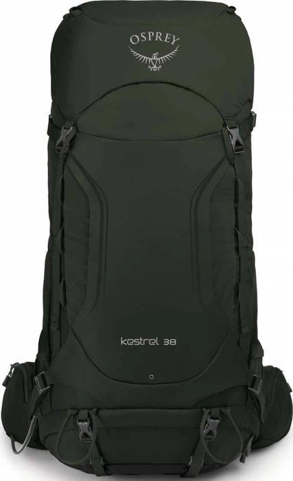Osprey Kestrel 38 picholine green (Herren)