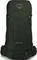 Osprey Kestrel 38 picholine green (Herren) Vorschaubild