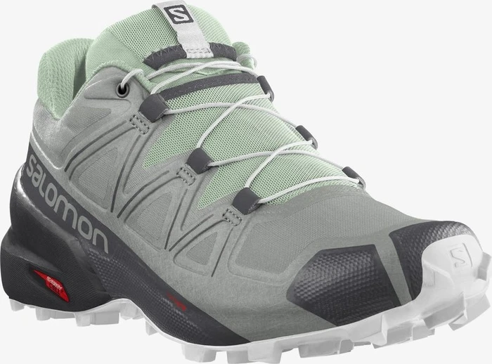 Salomon Speedcross 5 wrought iron/spray/white (Damen)
