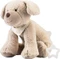 Sterntaler Hund Lucky Spieluhr klein Vorschaubild