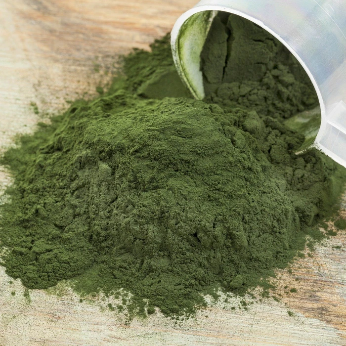 DRAK-Aquaristik Spirulina Mikroalgenpulver, Dose, 100g