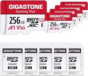 Gigastone Gaming Plus R100/W60 256GB Kit, UHS-I U3, A1, Class 10, 5er-Pack