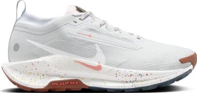 Nike Pegasus pure platinum/football grey/pink foam/white (Damen)