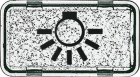 Busch-Jaeger Allwetter 44 Tastersymbol Licht