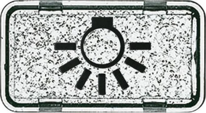 Busch-Jaeger Allwetter 44 Tastersymbol Licht