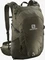 Salomon Trailblazer 30 martini olive/olive night/ebony Vorschaubild