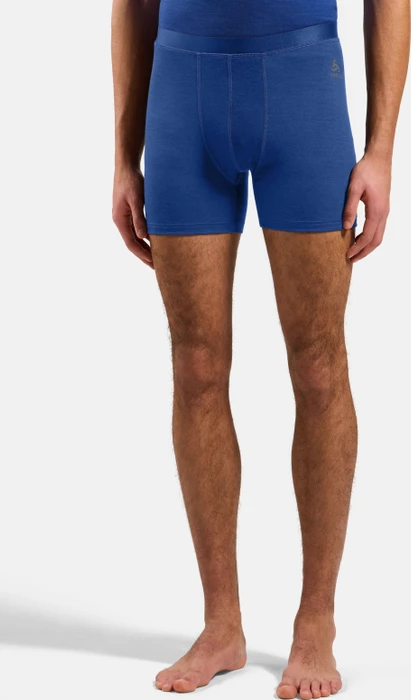 Odlo Natural Merino 160 Boxer Briefs dazzling blue (Herren)
