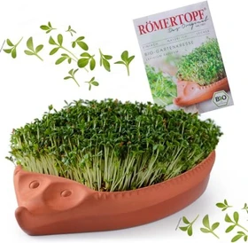 Römertopf Kresse Igel