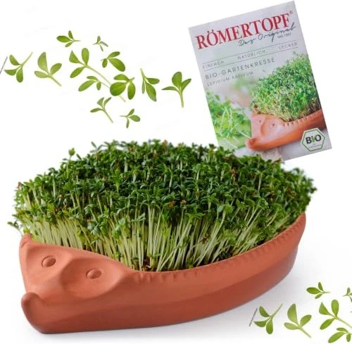 Römertopf Kresse Igel