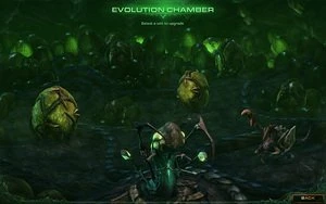 StarCraft 2 - Heart of the Swarm (englisch) (PC/MAC)