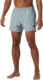 Helly Hansen Newport Trunk Badeshorts grey cactus (Herren)