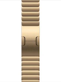 Apple Gliederarmband für Apple Watch 42mm brillantgold