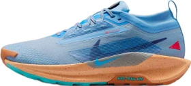 Nike Pegasus Trail 5 Gore-Tex blue beyond/copper moon/monarch/blue void (Herren)