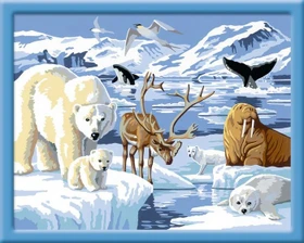 Ravensburger Malen nach Zahlen Tiere der Arktis
