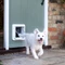 Sure Petcare SureFlap Microchip XL Haustierklappe, weiß Vorschaubild