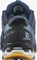 Salomon XA Pro 3D V8 night sky/dark denim/butterscotch (Herren) Vorschaubild
