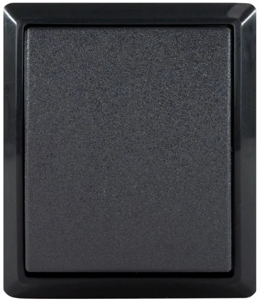 REV Ritter AquaForm Aus-/Wechselschalter AP IP 44, anthrazit