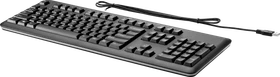 HP USB Keyboard for PC, USB, PL (QY776AA#AKD)