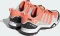adidas Terrex Swift R2 GTX coral fusion/grey one/core black (Damen) Vorschaubild