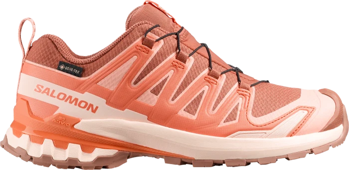 Salomon XA Pro 3D V9 GTX grisaille/tradewinds/spellbound (Damen)