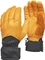 Black Diamond Tour Handschuhe (Herren) Vorschaubild