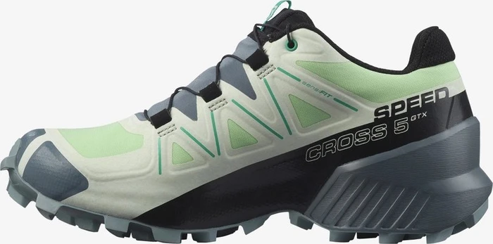 Salomon Speedcross 5 GTX patina green/stormy weather/peacock green (Damen)