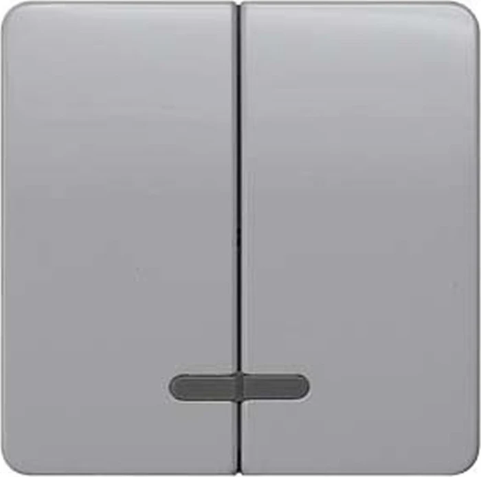 Siemens DELTA profil Wippe mit Fenster 2-fach Mittelstellung, silber