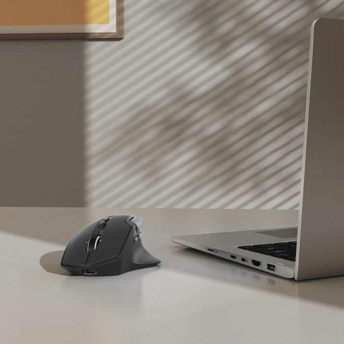 Hama WM-900 Ergonomic Silent Wireless schwarz, USB/Bluetooth