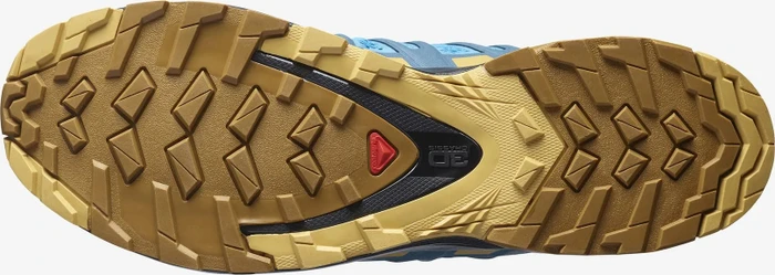 Salomon XA Pro 3D V8 barrier reef/fall leaf/bronze brown (Herren)