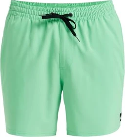 Quiksilver Surfsilk Solid 16" Badeshorts summer green (Herren)