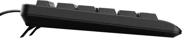 Trust TK-150 Silent Keyboard, schwarz, USB, US