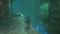 The Legend of Zelda: Ocarina of Time (Switch 2) Vorschaubild