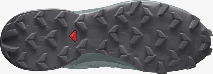 Salomon Speedcross 5 GTX slate/trooper/ebony (Herren)