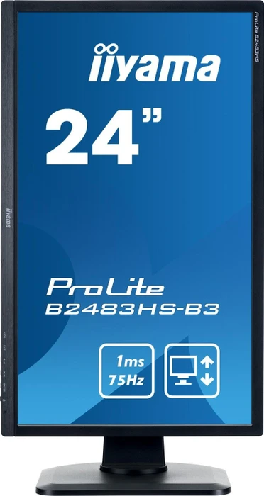 iiyama ProLite B2483HS-B3, 24"