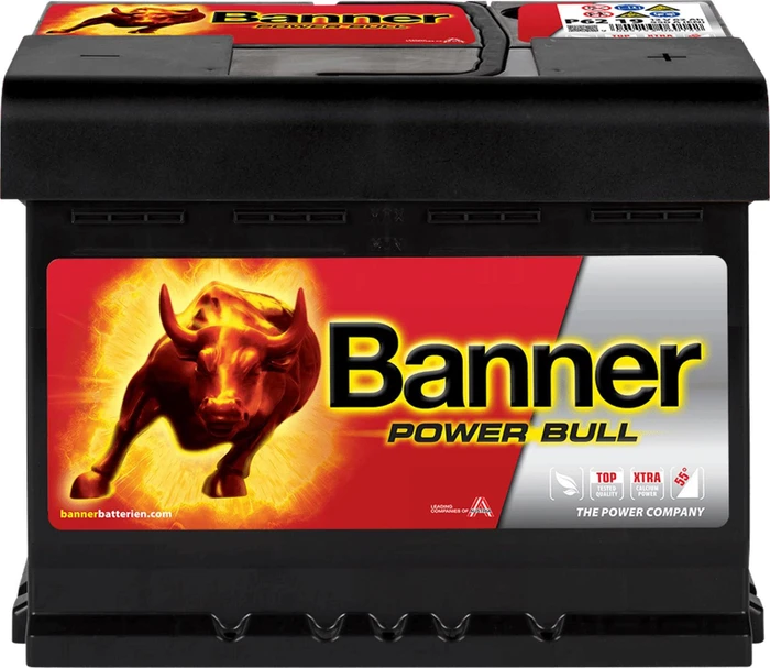 Banner Power Bull P6219