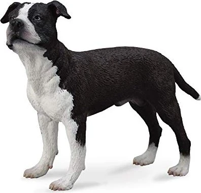 Collecta American Staffordshire Terrier